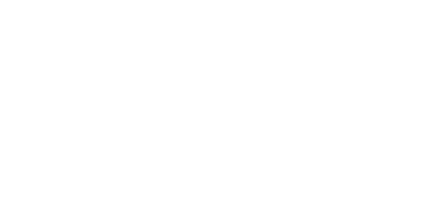 리사